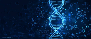 Premium lab tested research peptides United Kingdom puremeds-pharma